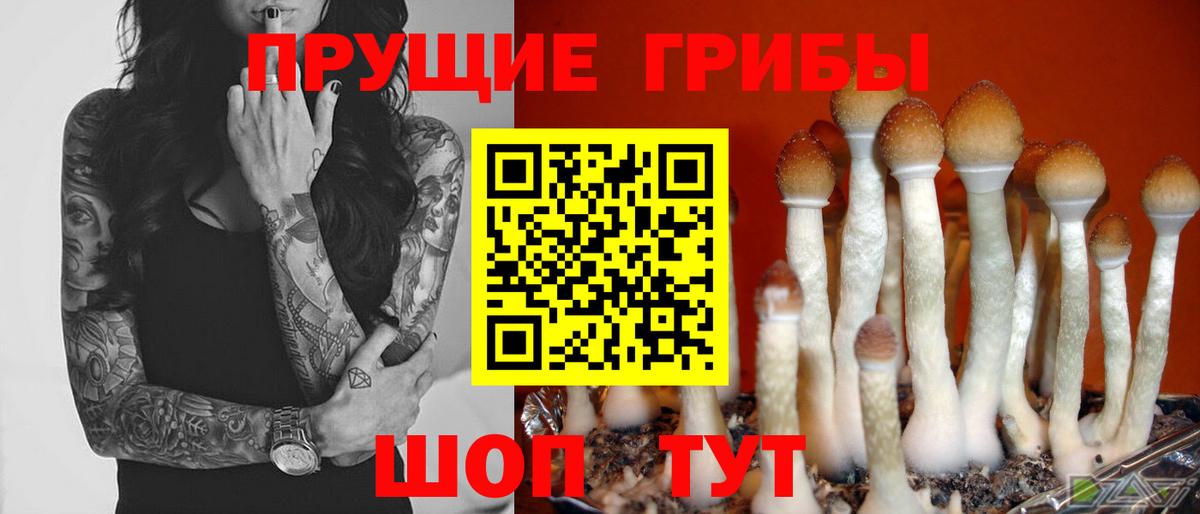 Галлюциногенные грибы мухоморы  Вход с VPN  Шелехов 